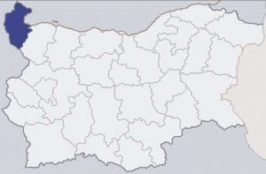 Видинска област карта