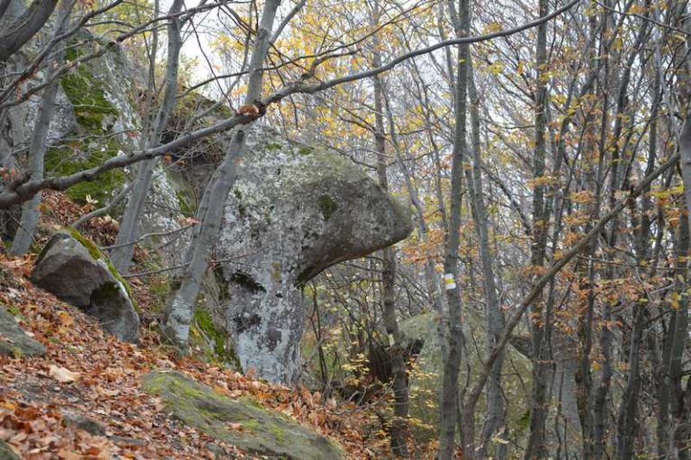 Белинташ 10